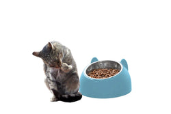 Tilted Dog Food Bowl Stainless Steel Cat Dog Feeder Blue