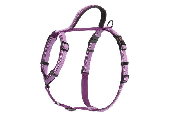 Halti Walking Two Tone Dog Harness (Purple) (Medium- Chest: 56cm-76cm)