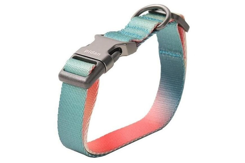 Pidan: Dog Collar with High-Strength Metal Buckle