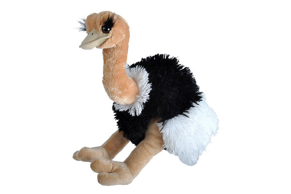 Cuddlekins: Ostrich - 12 Inch Plush