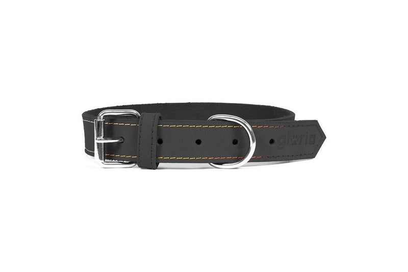 Dog Collar Gloria Oasis Black (50 x 2,1 Cm)