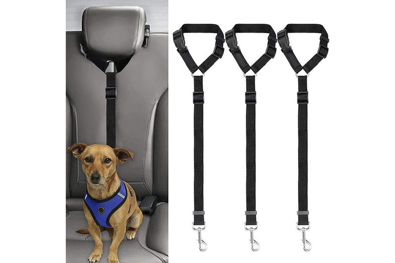 Adjustable Safety Car Leash for Pets - 3 Pack