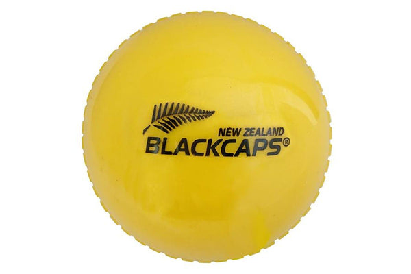 NZC PVC Cricket Ball