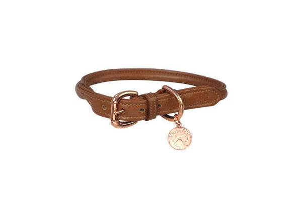 Benji & Flo Superior Leather Dog Collar (Tan/Rose Gold) (XL- Length: 51cm-65cm)