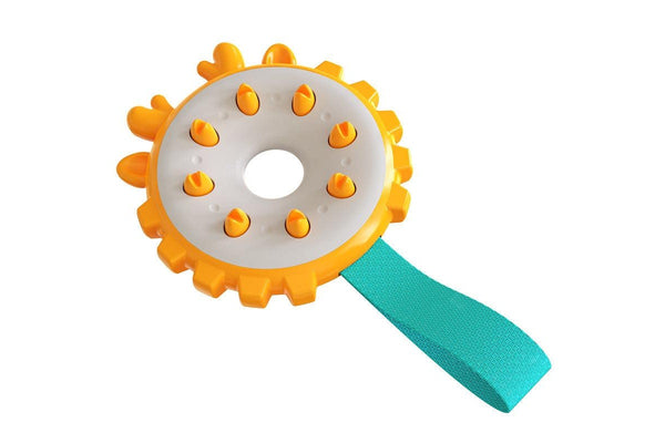 Dog Chew & Teeth Cleaning Toy - NZ Stock