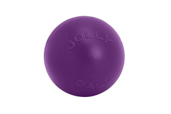 Jolly Pets Push-N-Play Dog Ball (Purple) (10in)