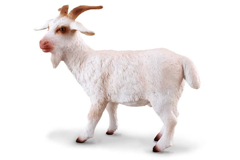 CollectA - Billy Goat