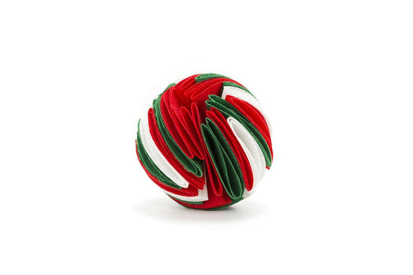 Pet Snuffle Ball Red