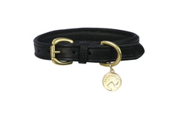 Benji & Flo Deluxe Leather Padded Dog Collar (Black/Brass) (XL- Length: 51cm-65cm)