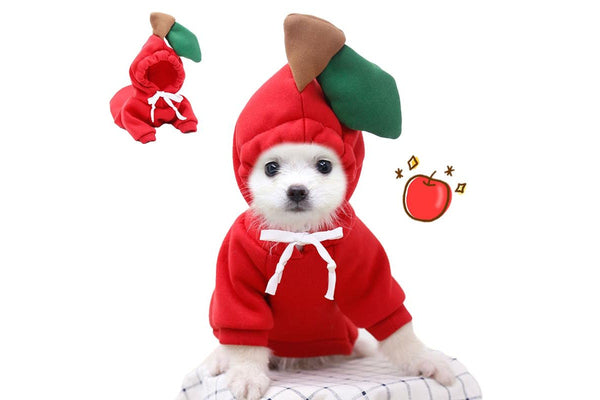 PETSWOL Large Pet Jacket - Apple