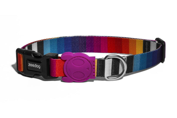 Zee.Dog: Prisma Collar - Small