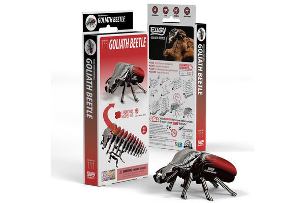 Eugy: Goliath Beetle - 3D Cardboard Model