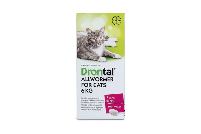 Drontal: Cat Ellipsoid 6kg - 2 Tablets