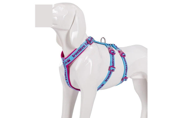 Durable Strong Reflective Neoprene Padding Harness