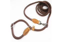 Multifunctional Dog Leash With p Shape Collar