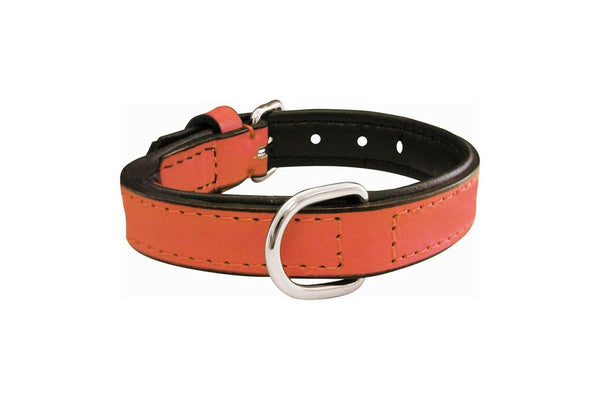 Dog Collar By Gloria Padded Coral 40 x 2 cm