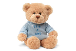 Gund: Message Bear: It's A Boy - Blue