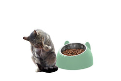 Tilted Dog Food Bowl Stainless Steel Cat Dog Feeder Green