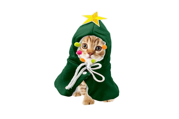 ZOOMIES Small Cat Christmas Costume - Green