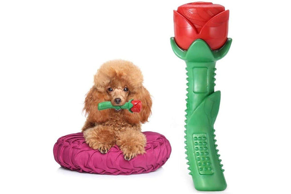 Attractive Durable Floatable Cleaning Teeth Rose Shaped Dog Chew Toy For Small Medium Large Dog