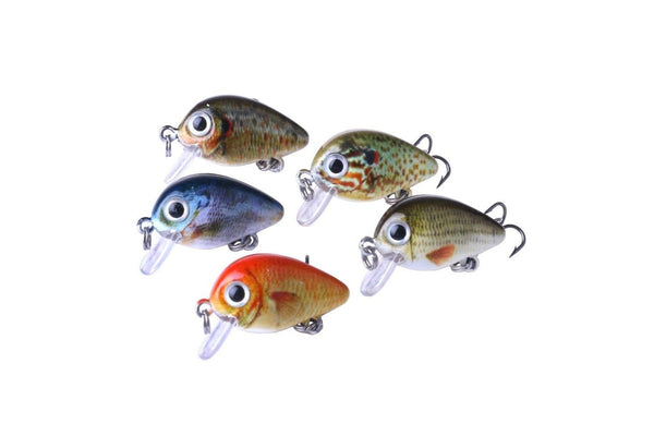 5 Piece Bionic Rock Fishing Lure Set With Plastic Box