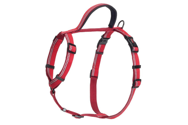 Halti Walking Two Tone Dog Harness (Red) (Small- Chest: 43cm-60cm)