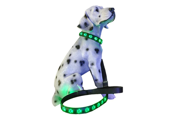 Luminous Dog Collar and Leash USB Rechargeable LED Pet Dog Collar for Night Security