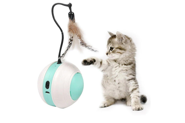 Interactive Cat Toys Ball Automatic Cat Toys For Indoor With LED Light Pet Sound Toys