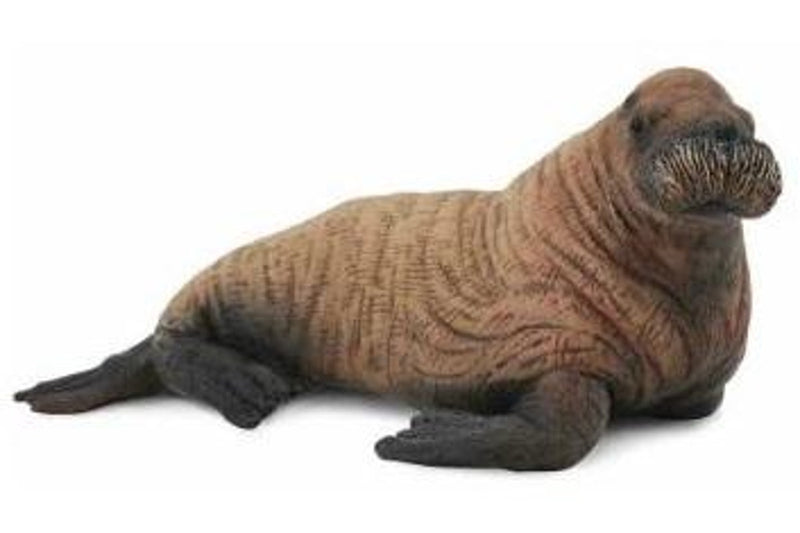 CollectA - Walrus Calf