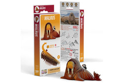 Eugy: Walrus - 3D Paper Model