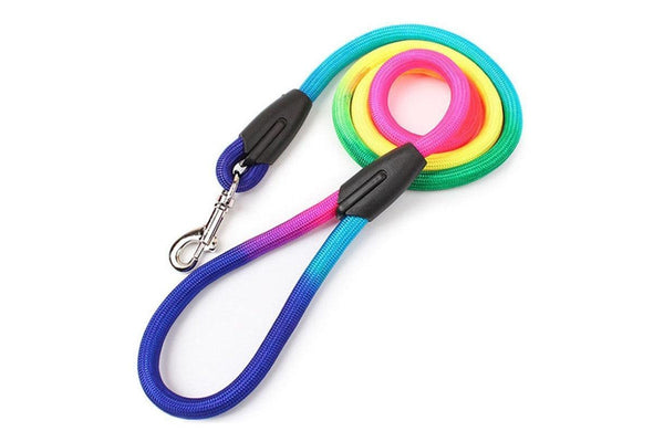 Durable Nylon Rainbow 1.2M Dog Leash Pet Walking Equipment - Dia. 0.8Cm