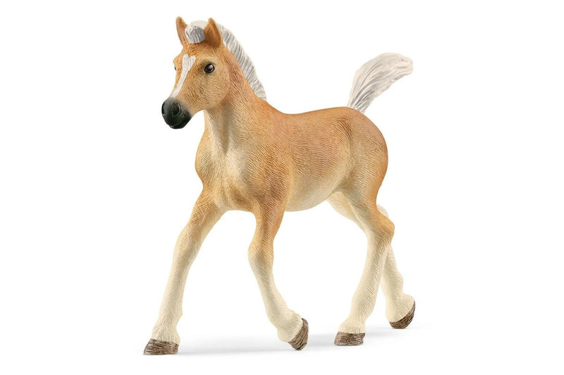 Schleich - Haflinger Foal