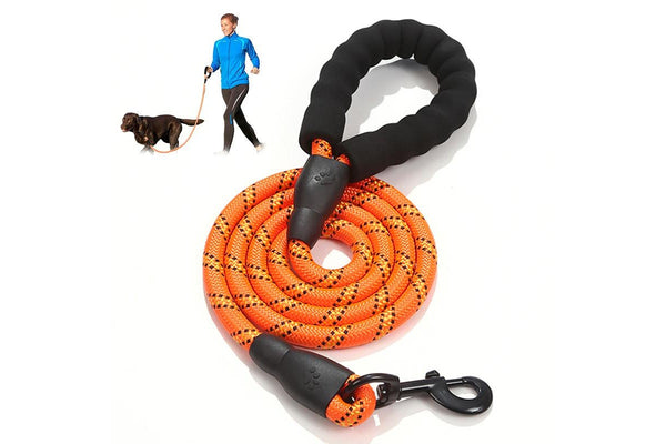 ZOOMIES 1.5M Reflective Threads Dog Leash with Padded Handle - Orange