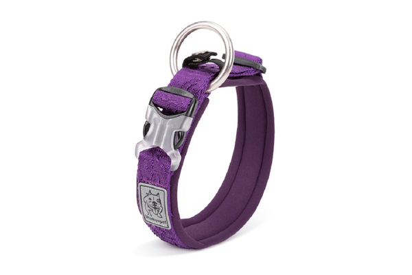 Whinhyepet Collar Purple - 2Xs -