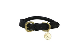 Benji & Flo Superior Leather Dog Collar (Black/Brass) (XS- Length: 21cm-34cm)