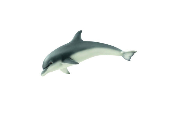 Schleich : Dolphin