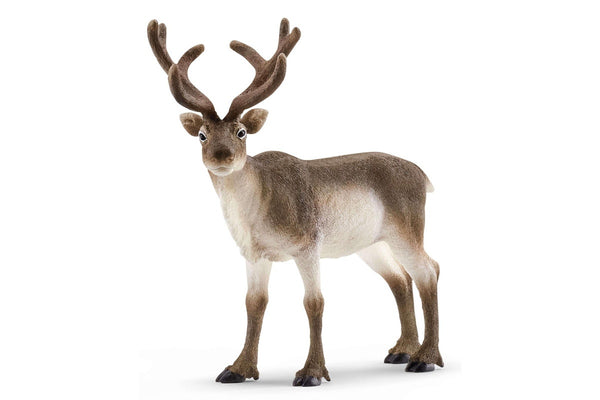 Schleich - Reindeer