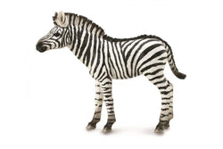 CollectA - Zebra Foal (M)