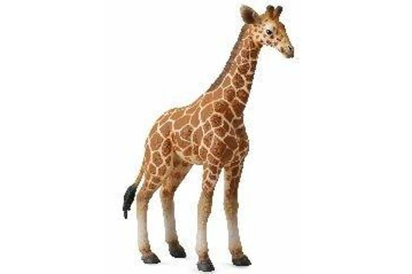 CollectA - Giraffe