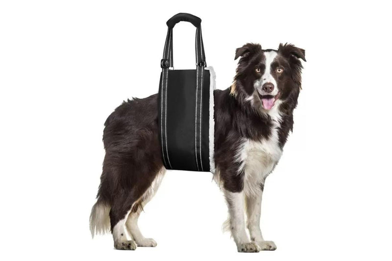 PETSWOL Portable Dog Sling for Back Support