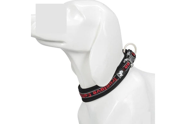 Nylon Reflective Collar With Duraflex Buckle