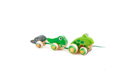 Hape Pull-Along Frog Family Educational Fun Activity Kids Toddler Play Toy 12m+