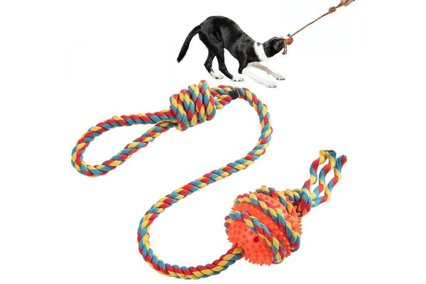 Tough Dog Toys Interactive Chew Toys