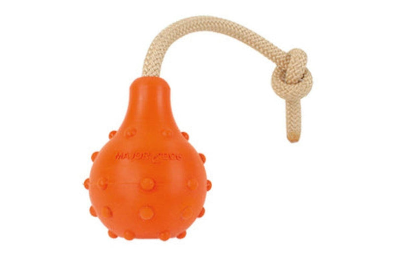 Major Dog Swimming Eddy Floating Fetch Toy With Handle - Large - One Size