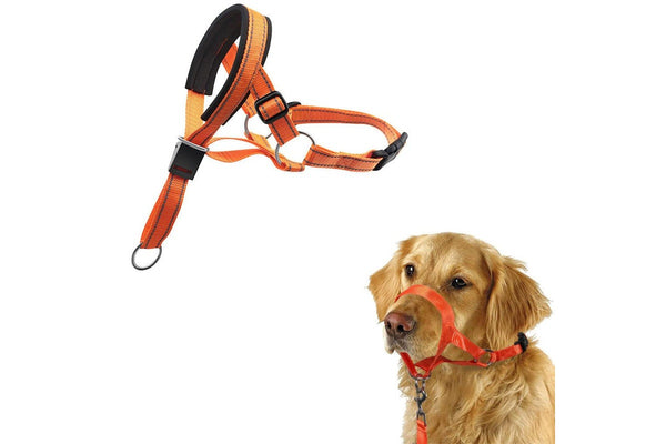 Adjustable Dog Head Collar Training Collar for Long-Snout Dogs Orange