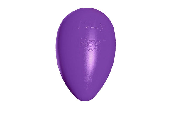 Jolly Pets Jolly Egg Jolly Ball (Purple) (8 inches)