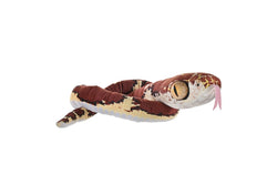 Wild Republic:Rainforest Snake Blunt Headed - 54" Plush