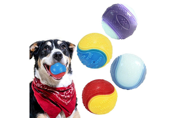 4Pcs Squeaky Dog Balls High Bouncy Ball Toys for Interactive Playing Pet Chew Balls