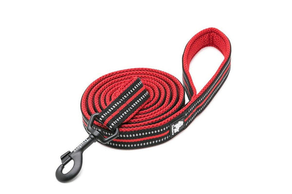 Reflective Pet Leash 2 Meters Red -