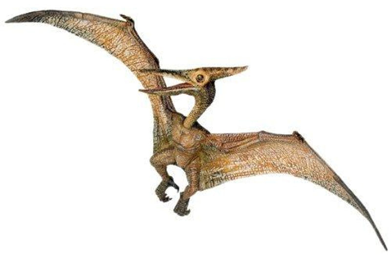 Papo Pteranodon